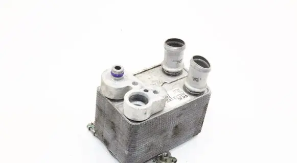 Cupra Born Air conditioning (A/C) air dryer 1EA816111B