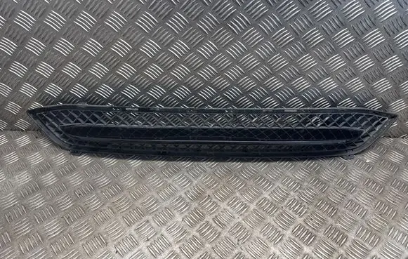 BMW X1 E84 Front bumper lower grill 7307792