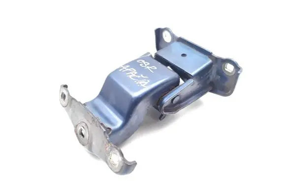 Renault Scenic II - Grand scenic II Rear door lower hinge 312304K 66379