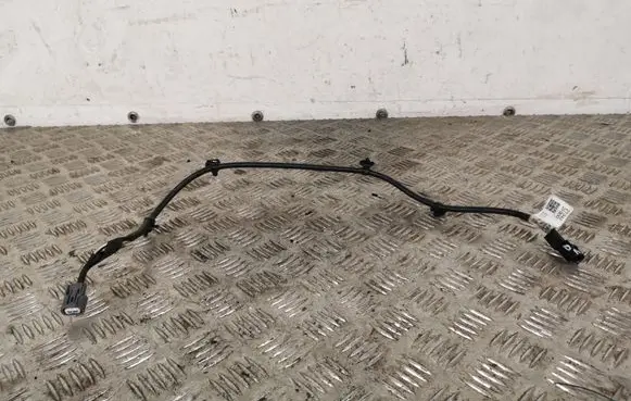 Hyundai Santa Fe Other wiring loom 213402F900