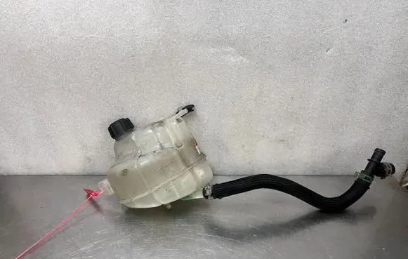 Renault Koleos II Coolant expansion tank/reservoir 217109703R