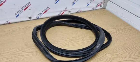 BMW X6 E71 Front door rubber seal 7195441