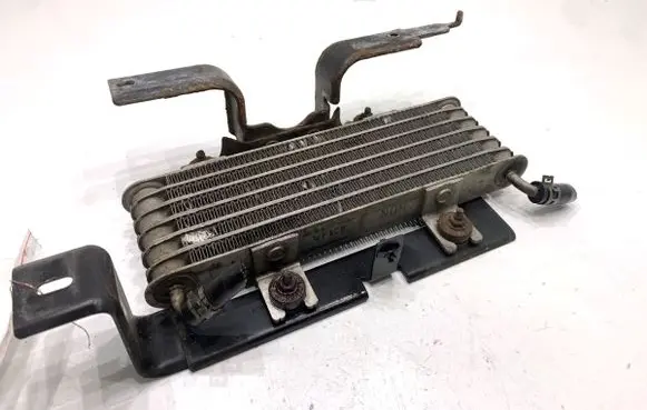 Nissan Juke I F15 Engine oil radiator 