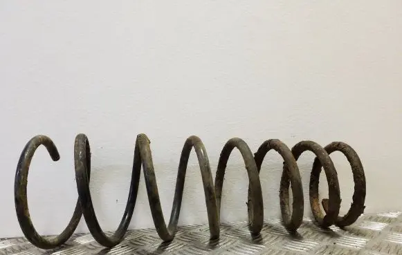 Rear coil spring