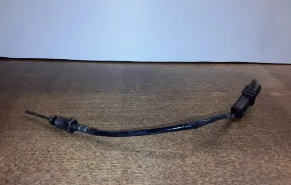 Peugeot 308 Exhaust gas temperature sensor 9651618180