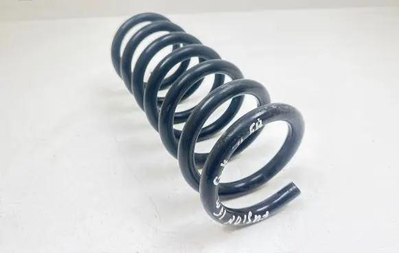 Ford Fusion II Rear coil spring