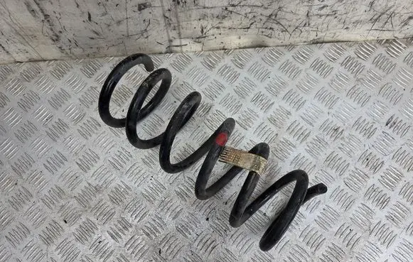 Rear coil spring
