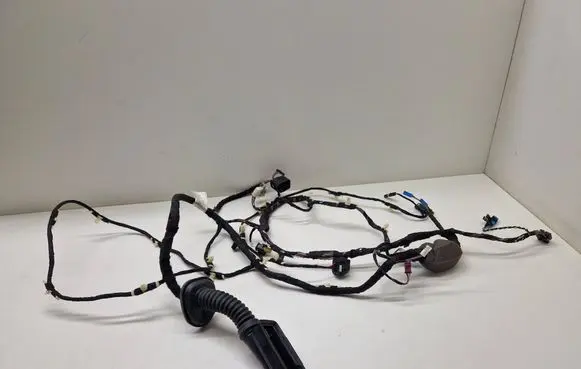BMW X3 G01 Front door wiring loom 5A48F74 5A48FB4