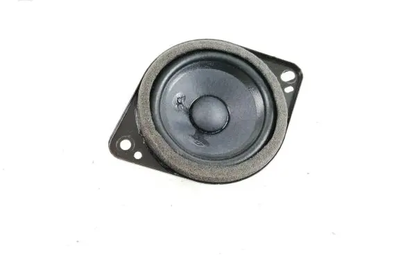 Ford Mustang Mach-E Front door speaker JX7T18808DA