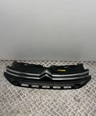 Citroen C3 Front grill 9812063477 3200201190