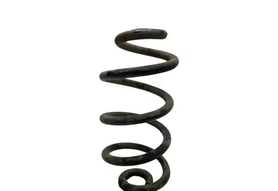 Nissan X-Trail T31 Rear coil spring