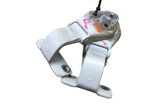 Iveco Daily 5th gen Front door hinges set 