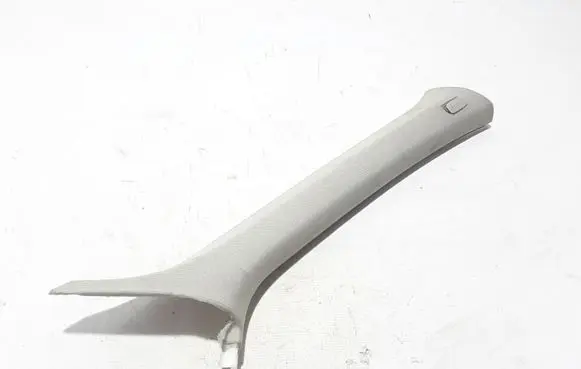 Audi Q5 SQ5 Other sill/pillar trim element 8R0867234