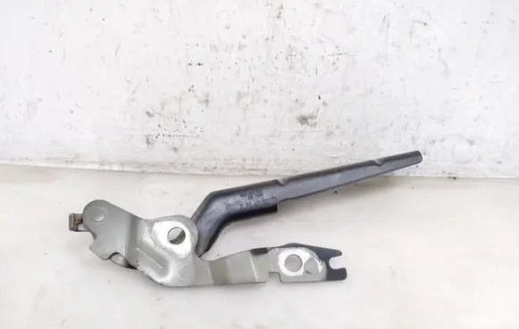 Volkswagen Golf VIII Engine bonnet/hood hinges 5H0823302
