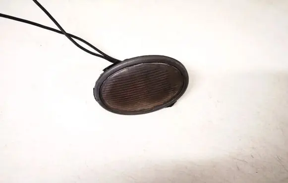 Other interior light