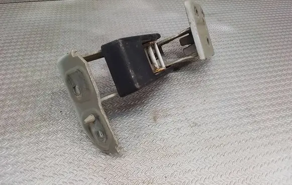 Rear door lower hinge