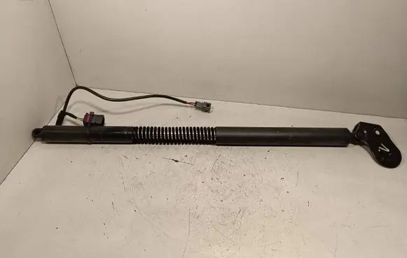 Tailgate/trunk strut/damper