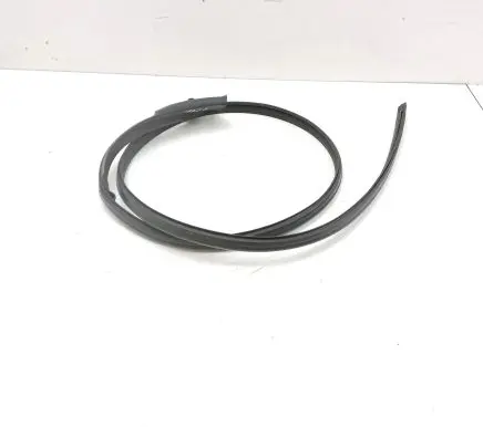 Porsche Taycan 9J1 Rubber seal rear door 9J0853911