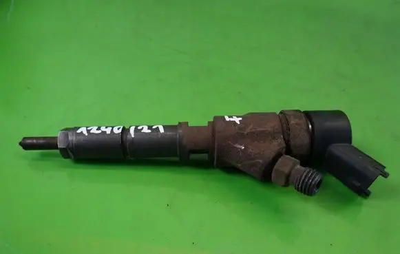 Citroen C5 Fuel injector 0445110076