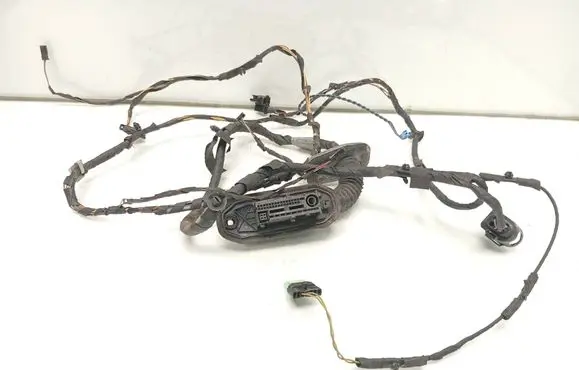 BMW 5 GT F07 Front door wiring loom 9210120 8990765