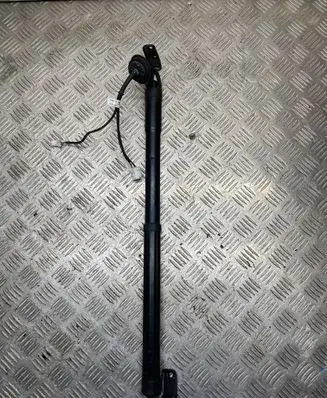 Tailgate strut
