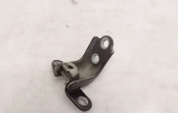 KIA Optima Front door lower hinge