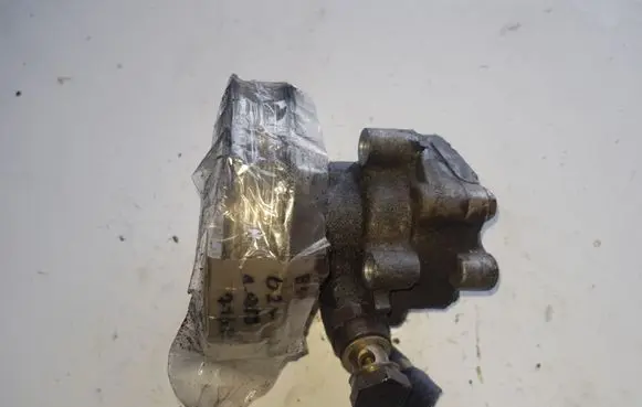 Volkswagen PASSAT B5.5 Power steering pump