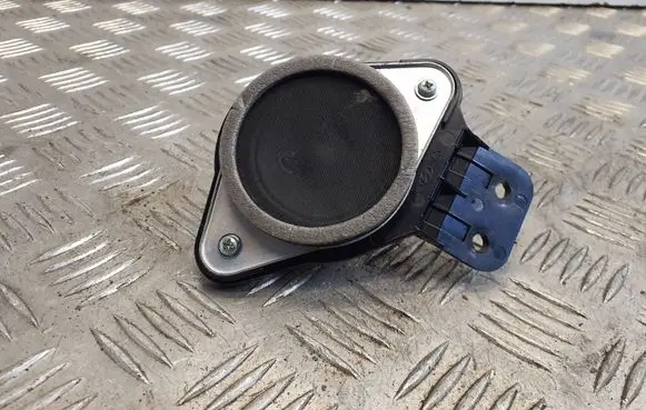 Panel speaker