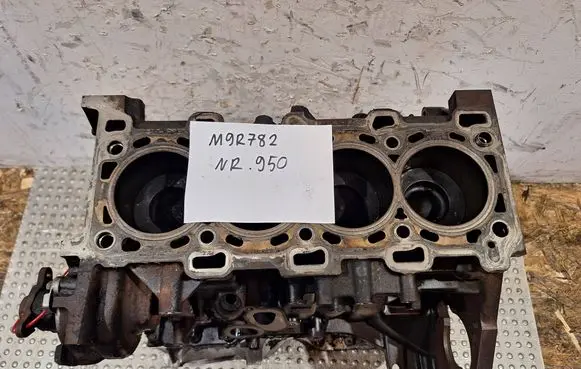 Renault Trafic II (X83) Engine block S25081950 M9R782