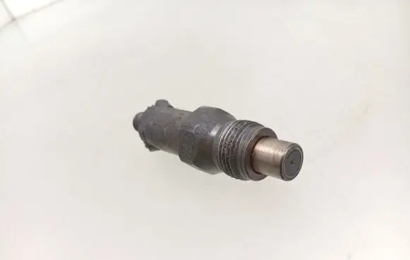 Peugeot 406 Fuel injector LCR6734302H