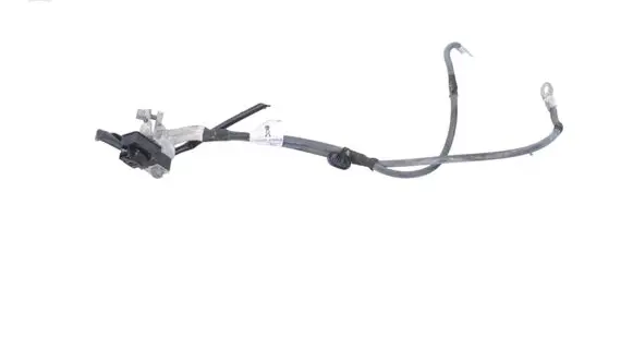 BMW X1 F48 F49 Positive wiring loom 9838135480 9838239880