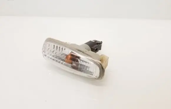 Front fender indicator light