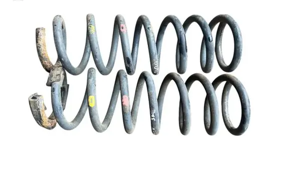 Rear coil spring
