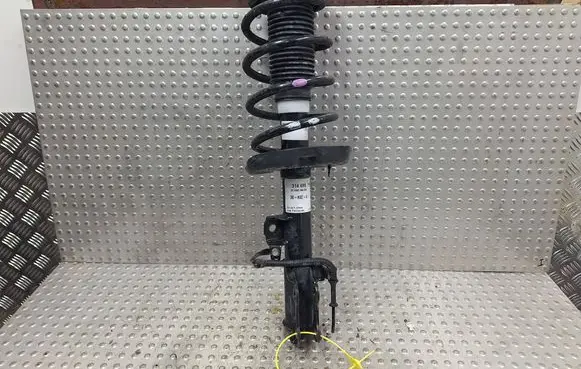 KIA Soul Front shock absorber/damper S25165512