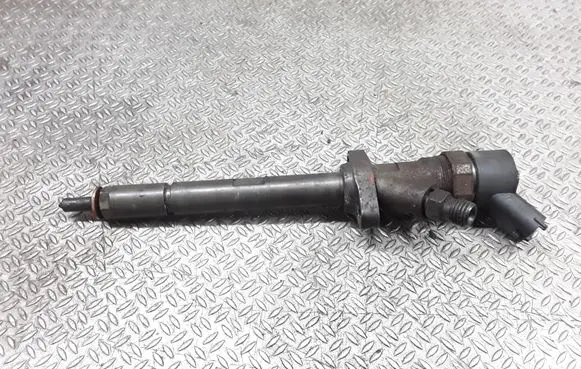Citroen C8 Fuel injector 9653344880 0445110036