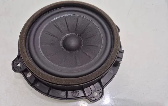 Front door speaker