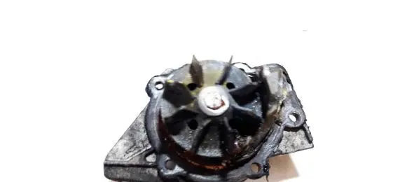 Citroen Xsara Water pump