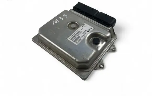 Engine control unit/module ECU