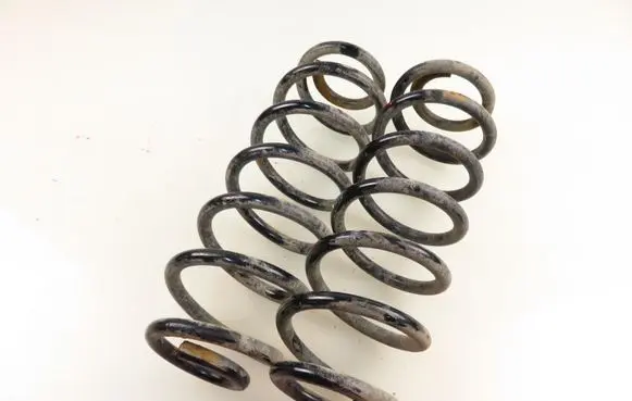 Rear coil spring