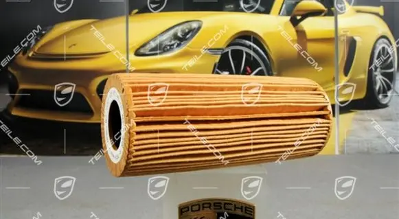 Porsche Cayenne (92A) Fuel filter 95810722201