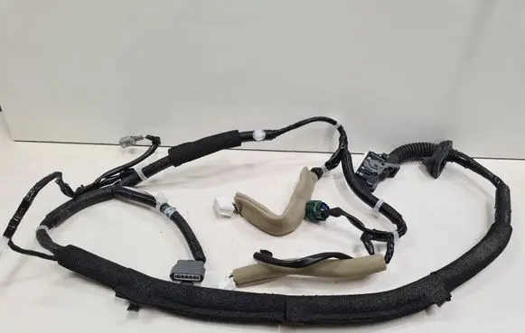 Nissan Leaf I (ZE0) Front door wiring loom 241243ND0A