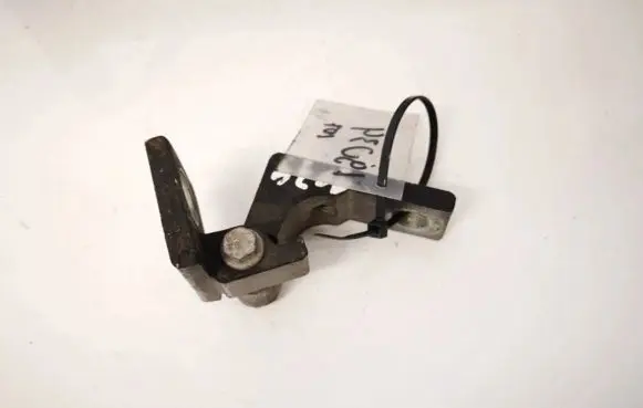 Fiat Punto (188) Rear door lower hinge