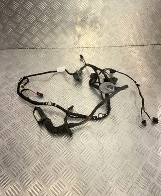 Audi A6 S6 C7 4G Front door wiring loom 4G5971029CD TAB010403AD