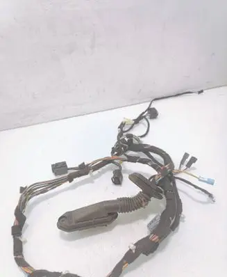 Front door wiring loom