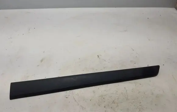 Renault Kangoo II Sliding door trim (molding) 808211241R
