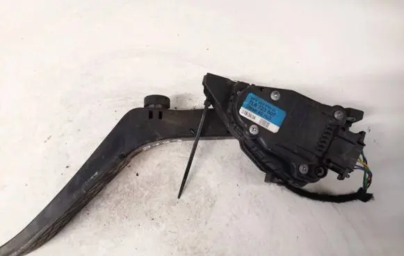 Volkswagen Touareg I Accelerator throttle pedal 7l6723507 6pv007770-24
