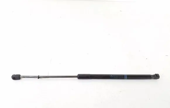 Tailgate strut
