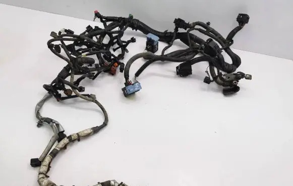 Nissan Juke I F15 Engine installation wiring loom