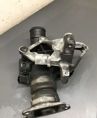 Citroen Berlingo Throttle valve