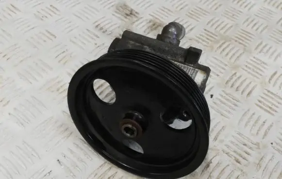 Dacia Duster Power steering pump 491105510R 7613955617